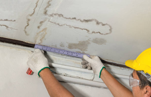24/7 Emergency Structural Drying experts in Harwood, ND