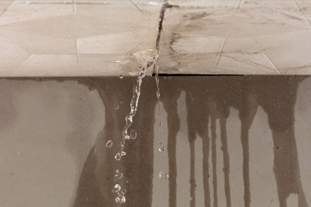 Professional Structural Drying technician working in Harwood, ND